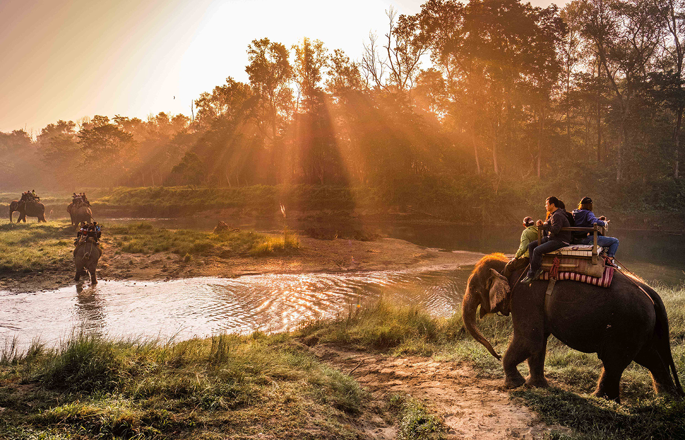 Kathmandu Royal Trek (Chitwan jungle safari and Pokhara)